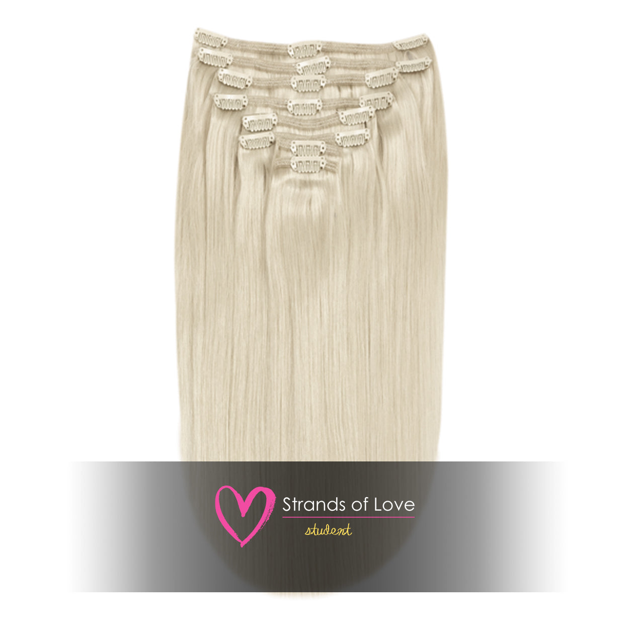 SOL Clip-In Hair Extensions - Silver Blonde