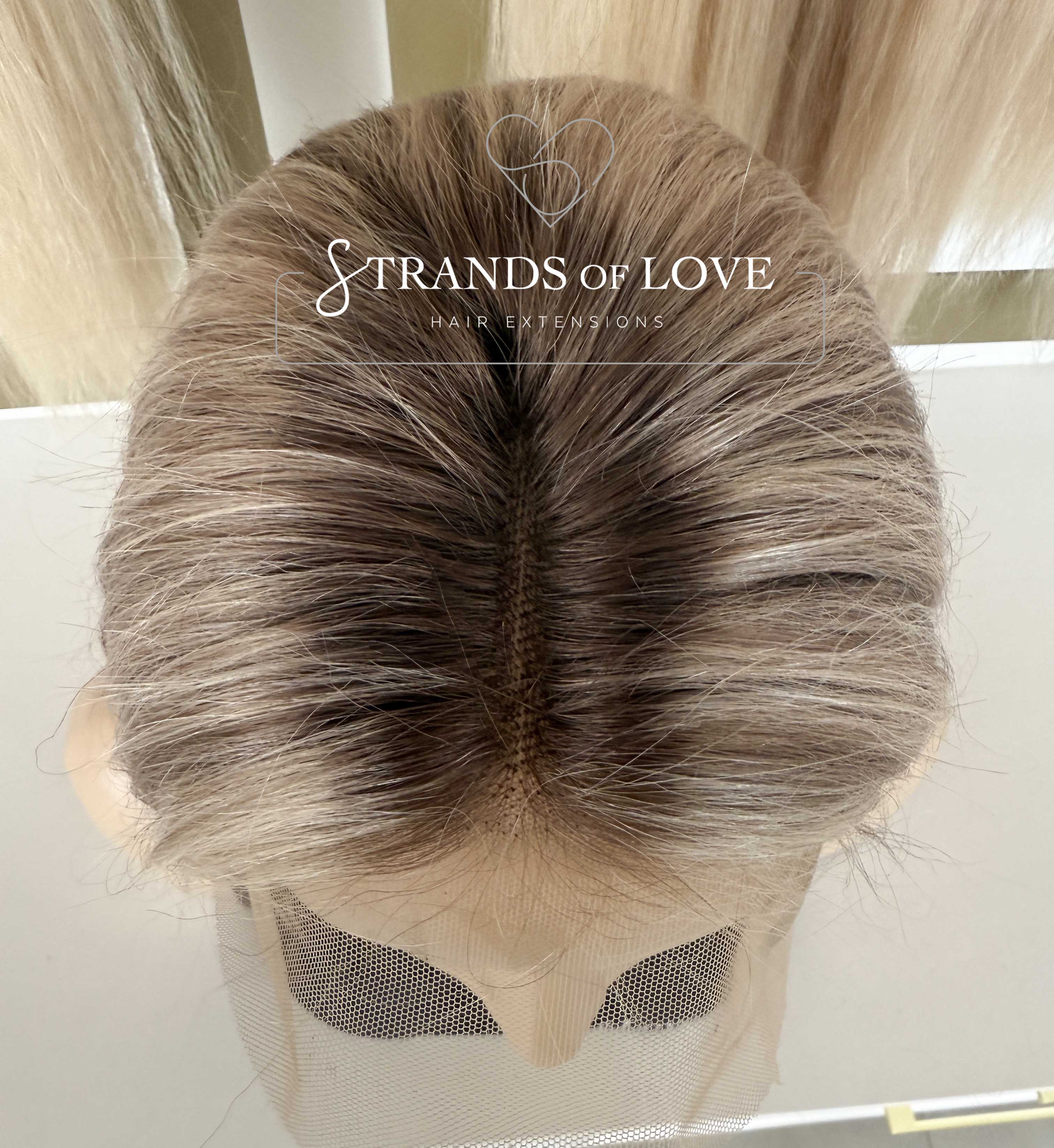 AMY - Full Wig - Ash Highlight (#Silver/7) - Straight - Lace Front