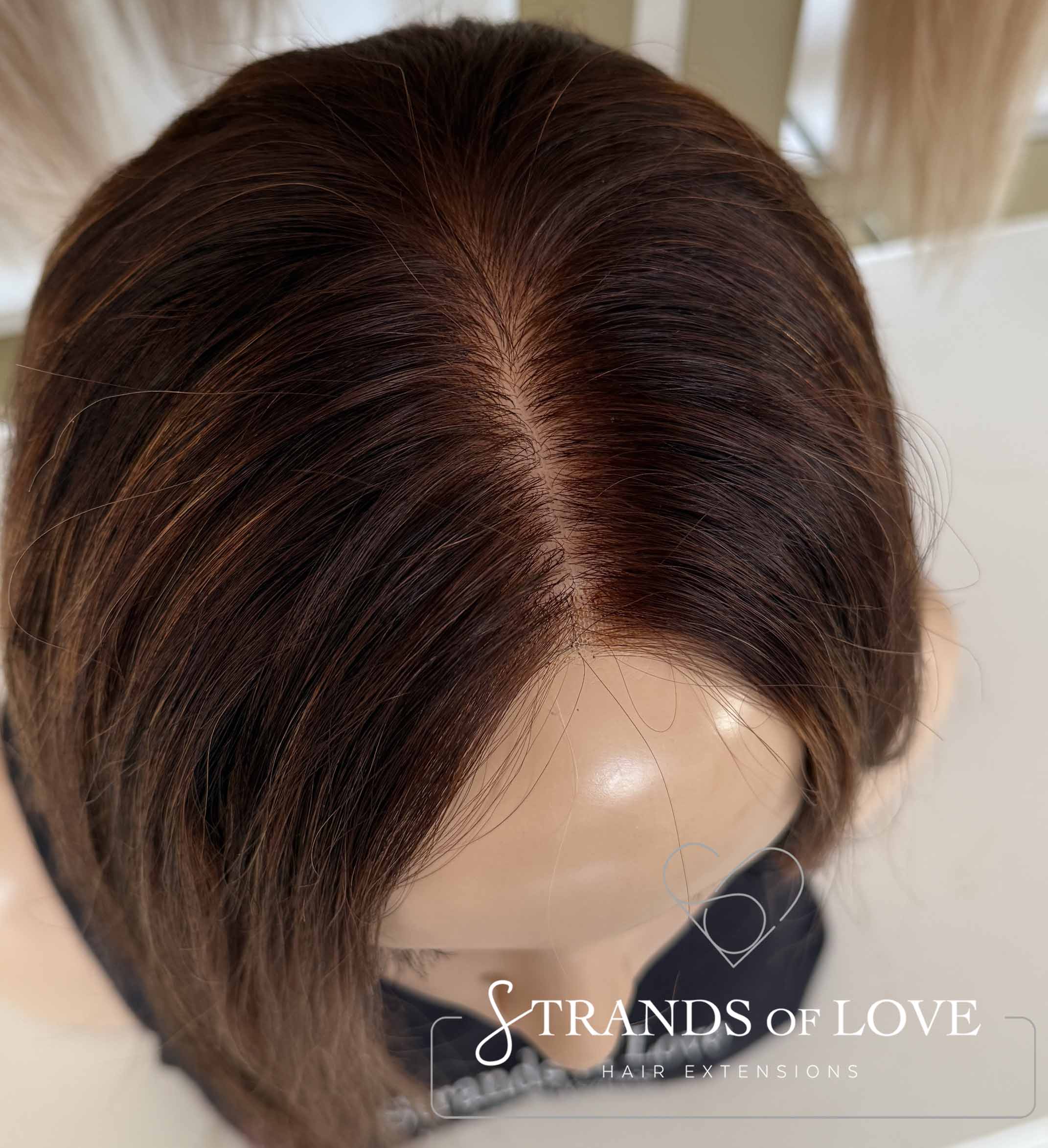 ASHLEY - Full Wig - Choc Cinnamon Highlight (#2/10) - SKIN top with lace front