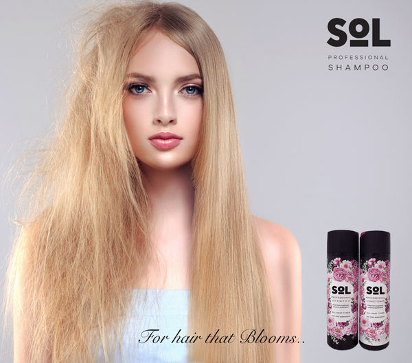 SOL Shampoo, Conditioner & Cosmetic Bag