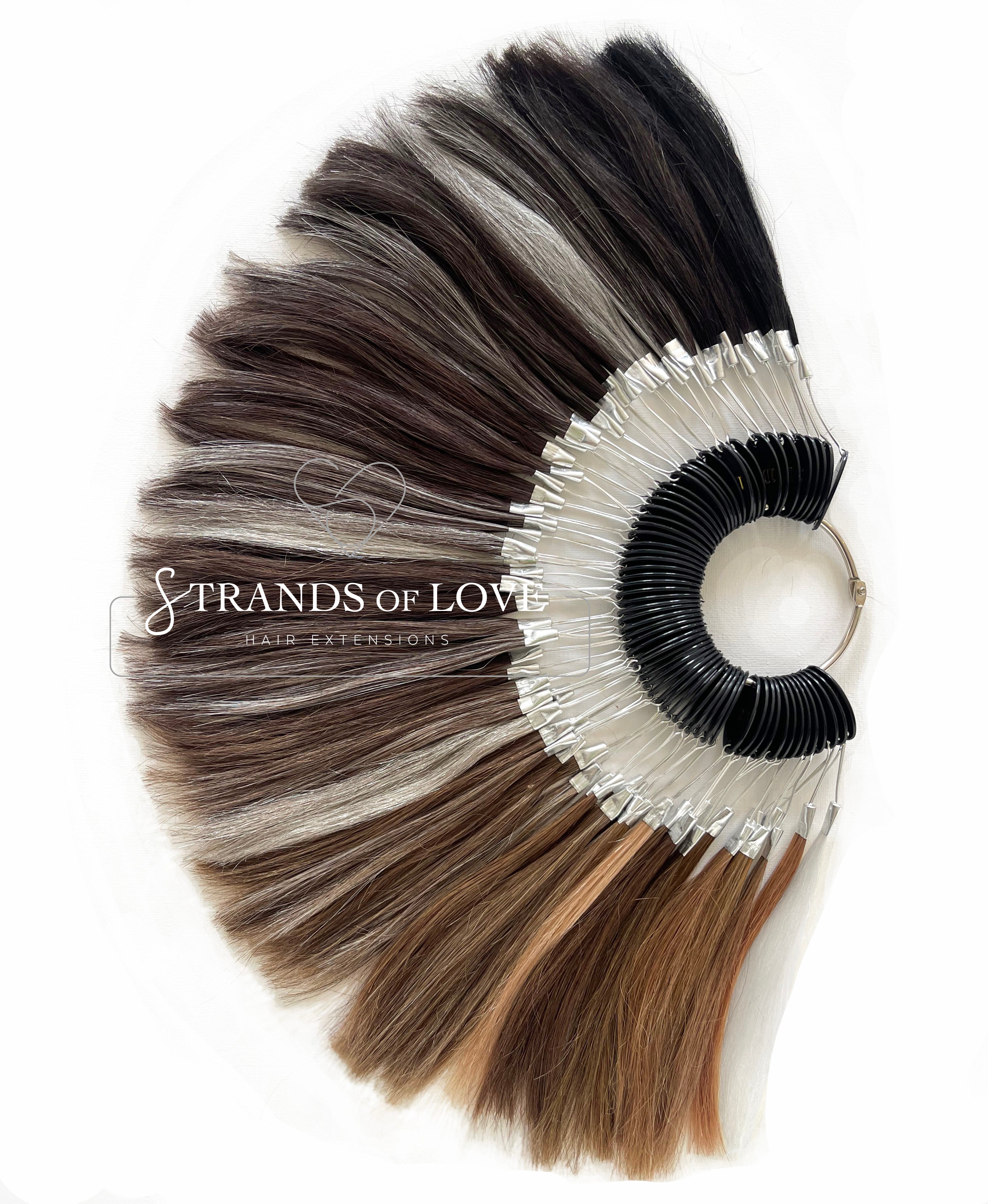 Men's Non-Surgical Hair System Colour Wheel